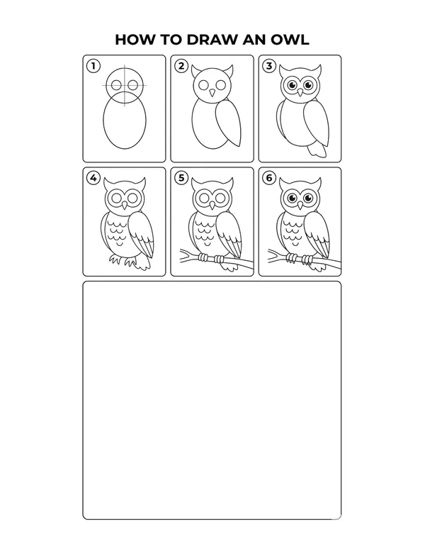 How to draw a Owl — free printable step-by-step sheet