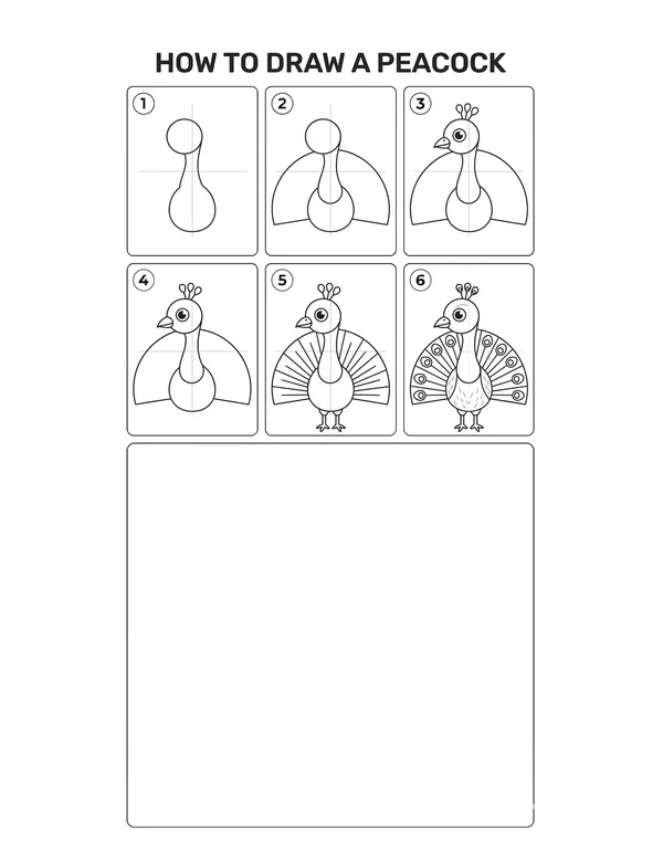 How to draw a Peacock — free printable step-by-step sheet